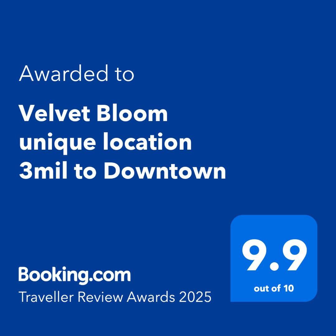 North Naples Velvet Bloom Unique Location 3Mil To Downtown 빌라 외부 사진